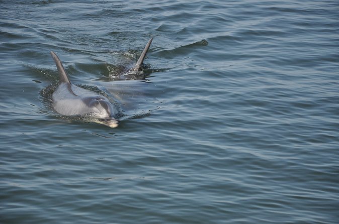 Walvis Bay waterfront in Namibia